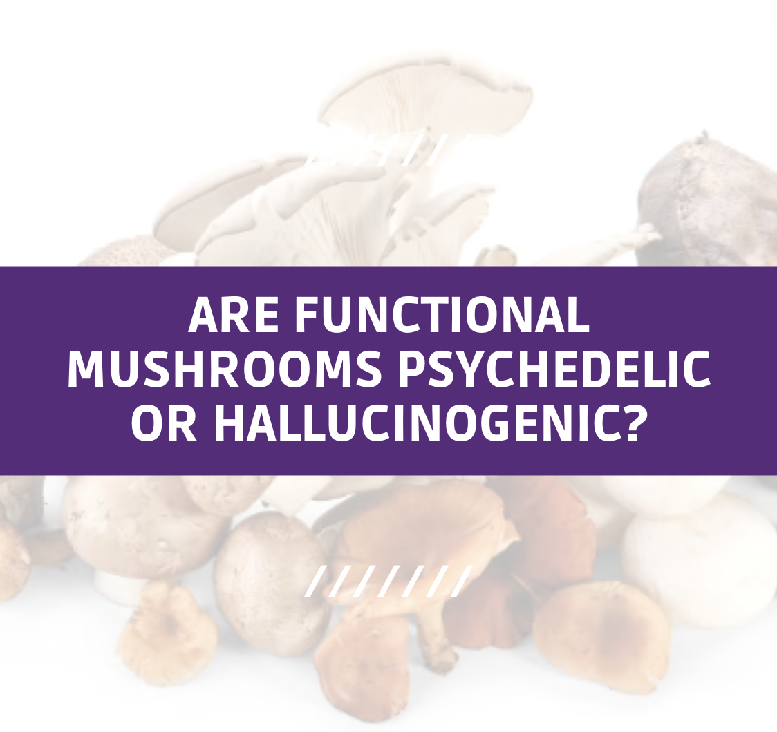 Functional Mushrooms Decoded: Psychedelic vs Hallucinogenic