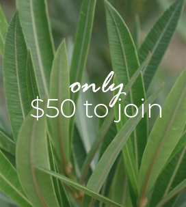 ONLY $50 TO JOIN