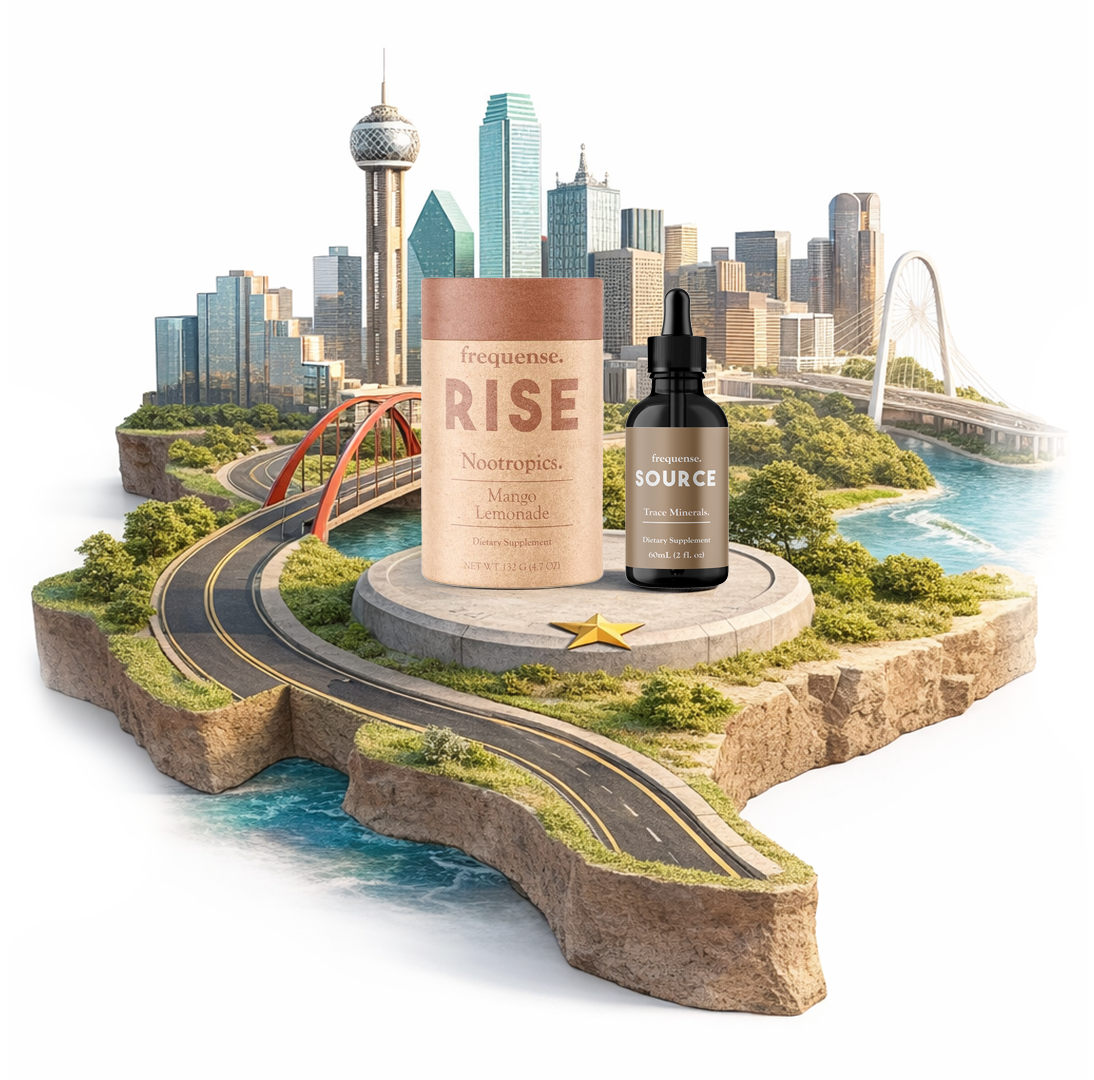 Rise and Vibe Summit