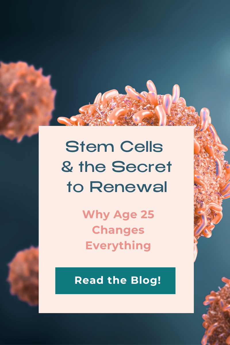Stem Cells and the Secret to Renewal: Why Age 25 Changes Everything