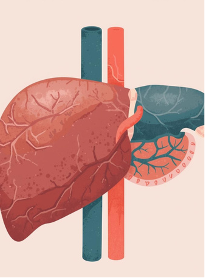 Detox and weight loss connection