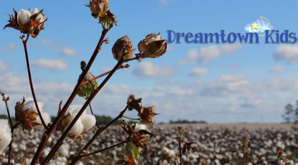 Difference Between Organic Cotton Vs. Conventional Cotton.