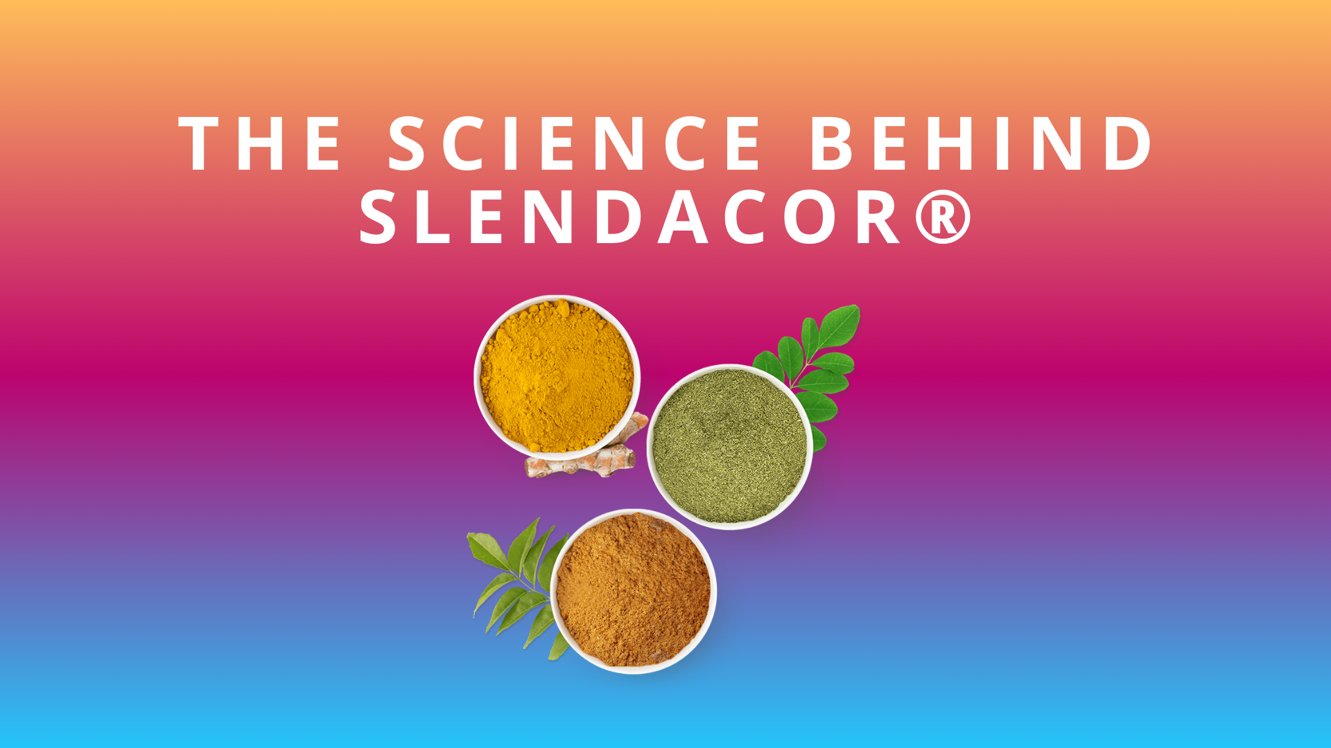 The Science Behind Slendacor®: How This Revolutionary Ingredient Powers R:ZIP