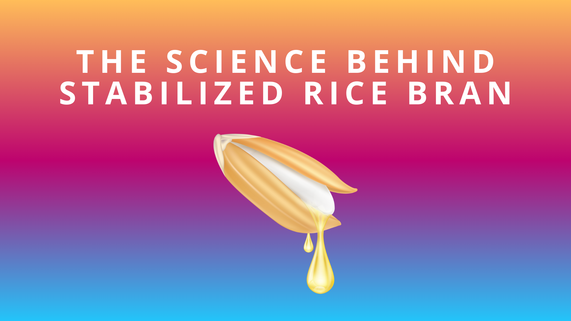 the-science-behind-stabilized-rice-bran-benefits-for-overall-health